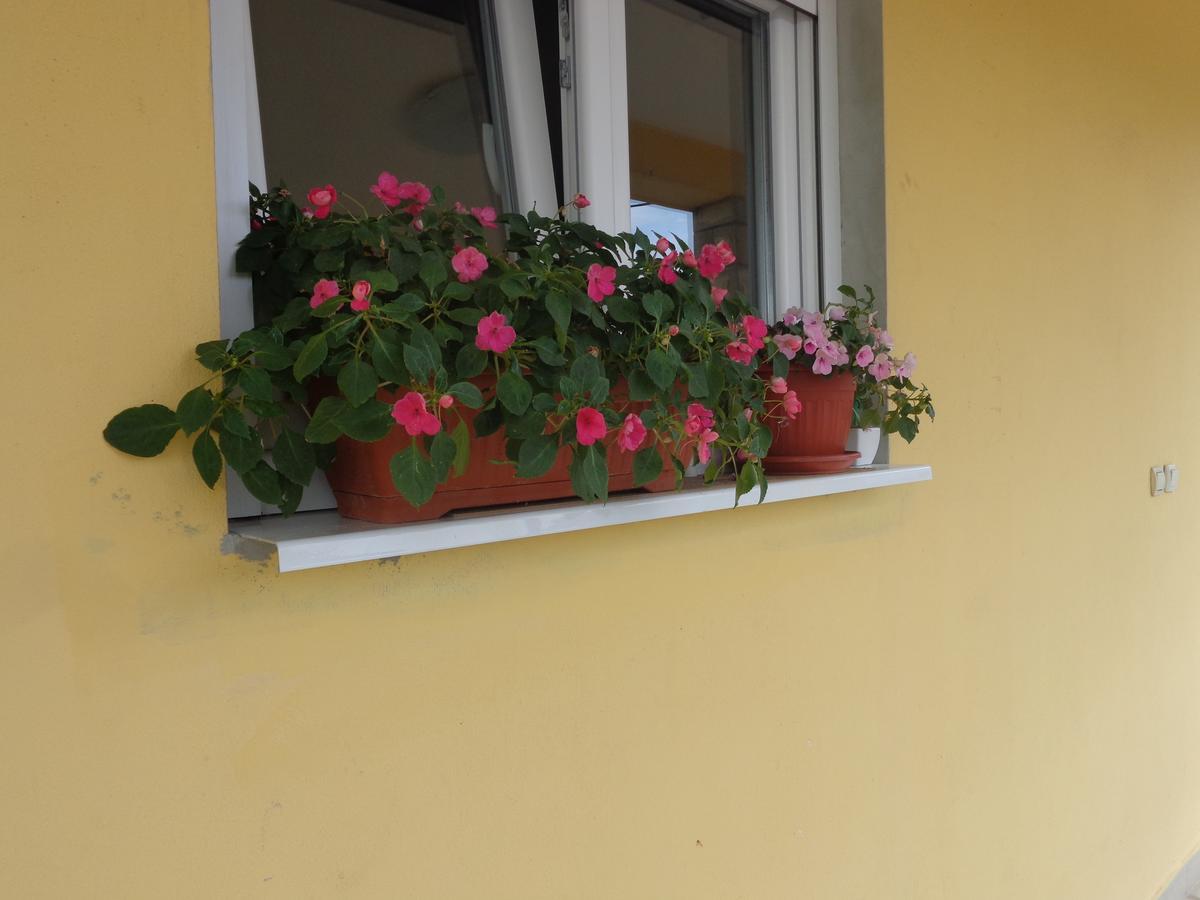 Guest House Ivana Тиват Экстерьер фото